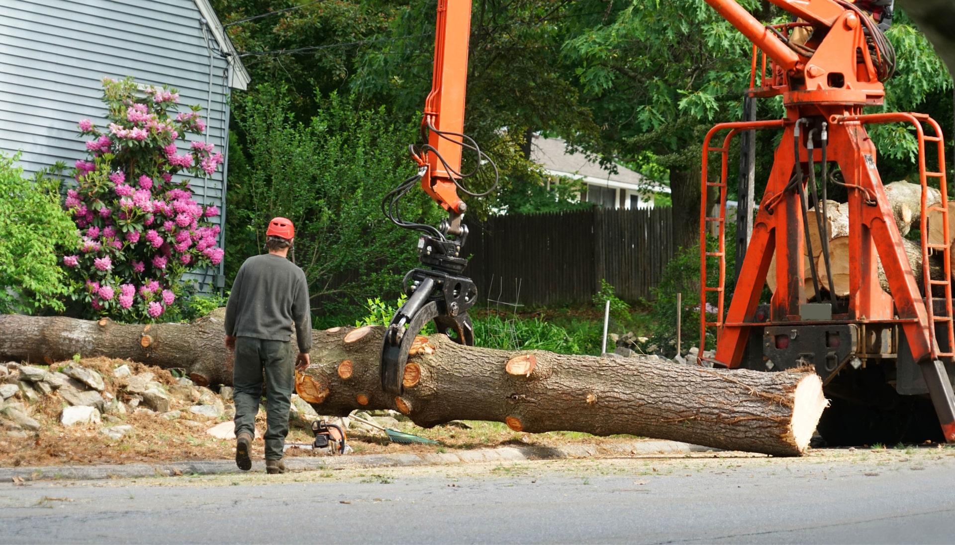 Top rated tree removal services Columbia, Maryland